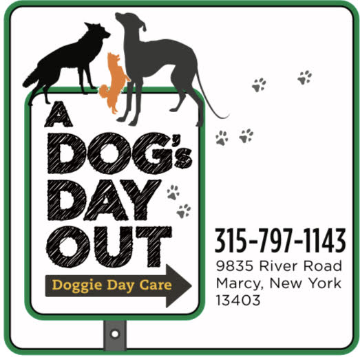 A Dog’s Day Out Logo