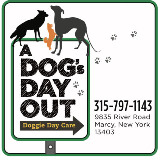 A Dogs Day Out Logo